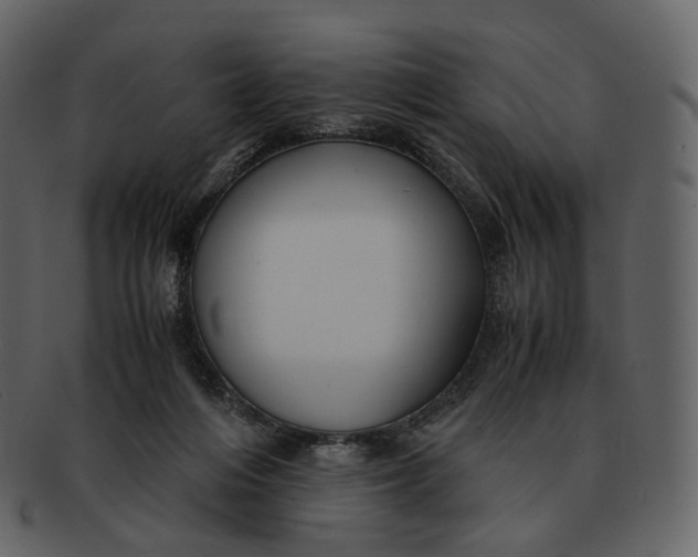 X0000092310216200710051244