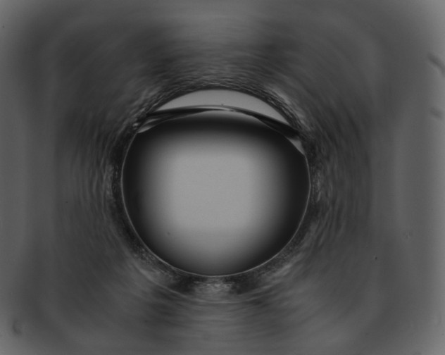 X0000092310217200710051244