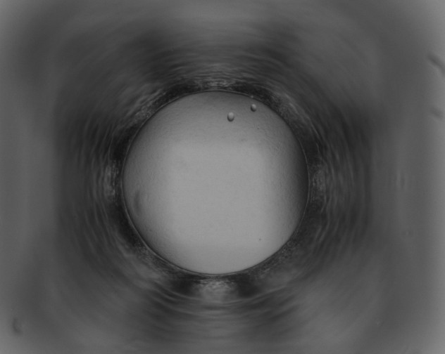 X0000092310218200710051244