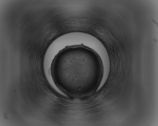 X0000092310219200710051244