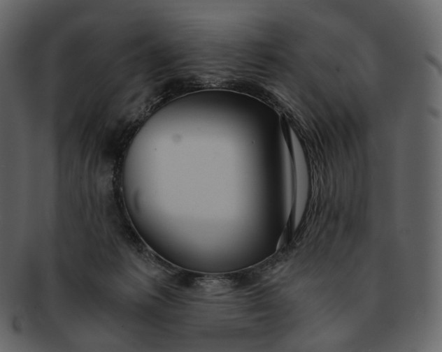 X0000092310221200710051244