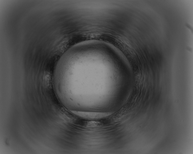 X0000092310222200710051244