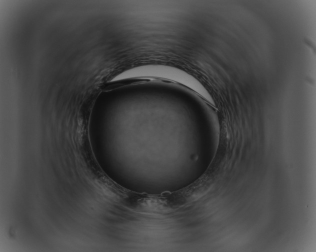 X0000092310223200710051244