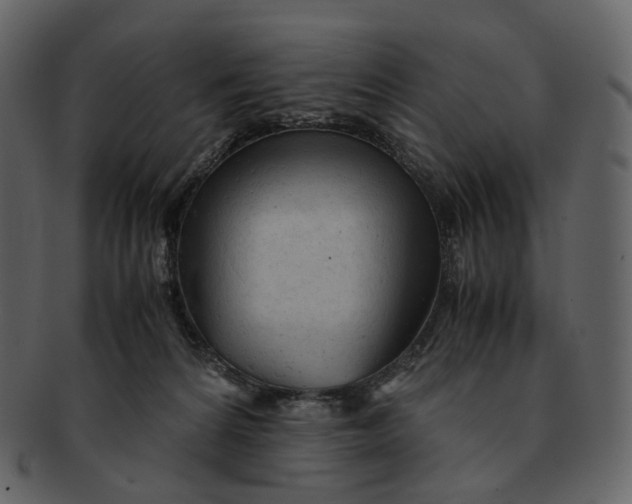 X0000092310224200710051244