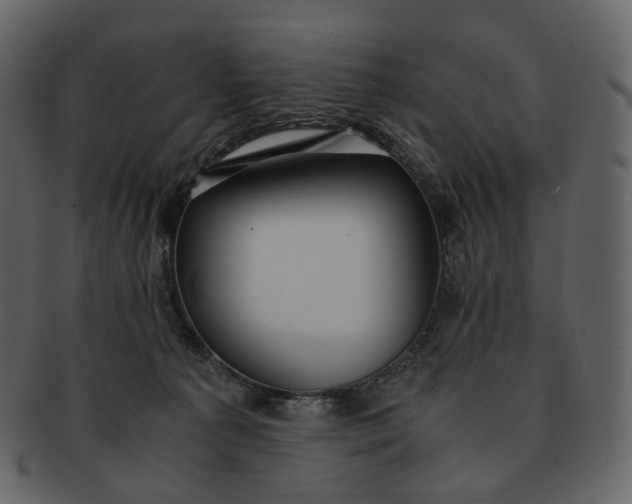 X0000092310225200710051244