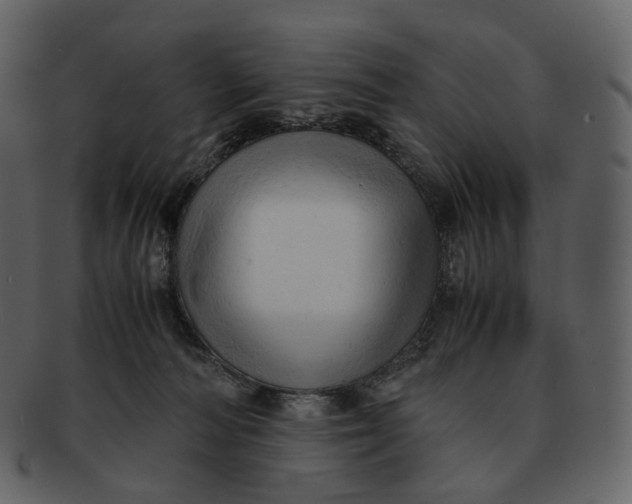 X0000092310226200710051244