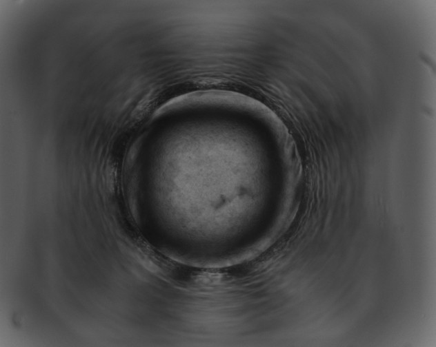 X0000092310227200710051244