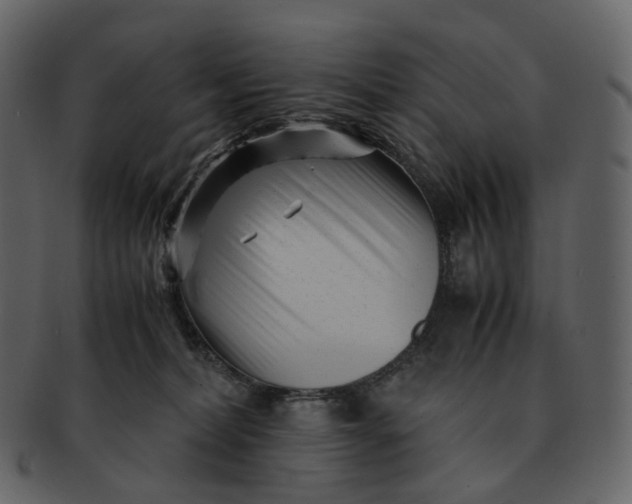 X0000092310228200710051244