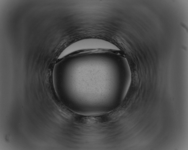 X0000092310229200710051244