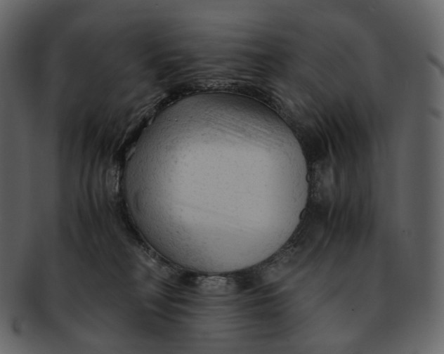 X0000092310230200710051244