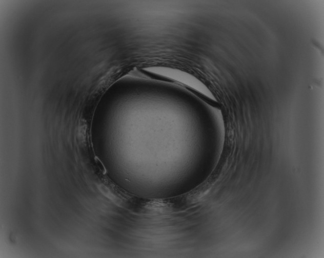 X0000092310231200710051244