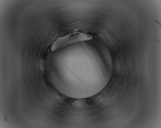 X0000092310232200710051244