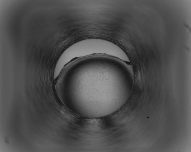 X0000092310233200710051244