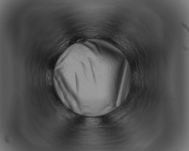 X0000092310234200710051244