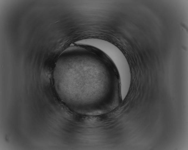 X0000092310235200710051244