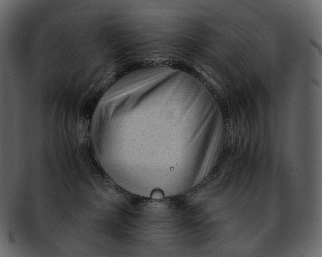 X0000092310236200710051244