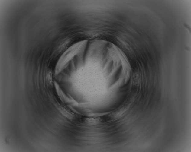 X0000092310238200710051244