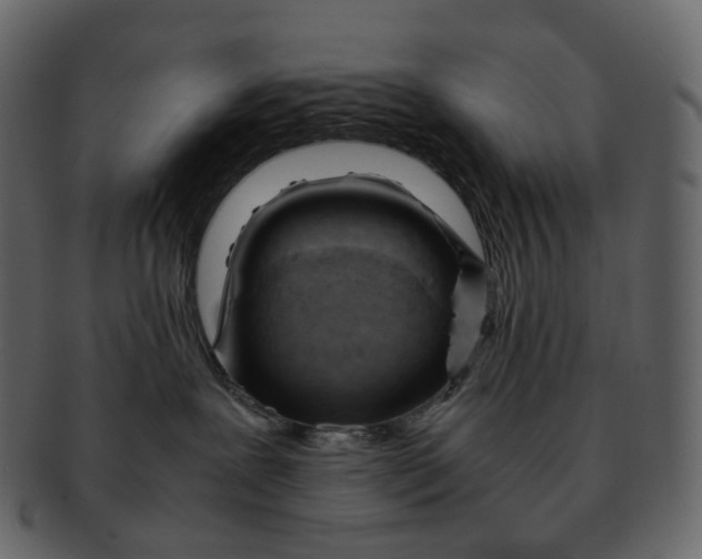 X0000092310239200710051244