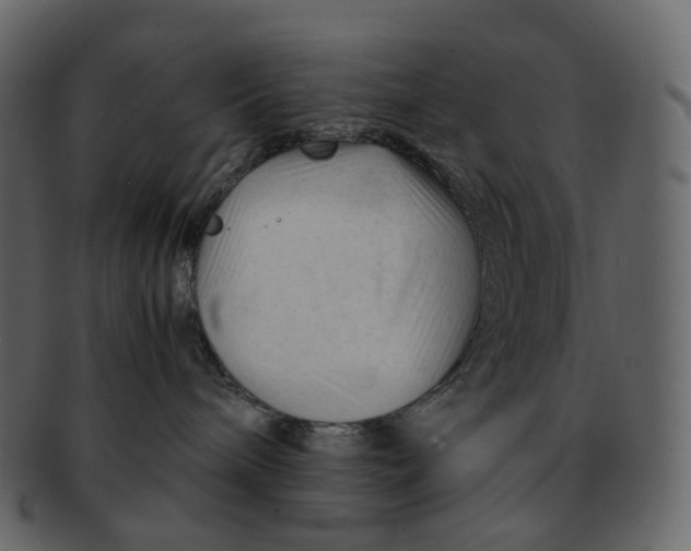 X0000092310240200710051244