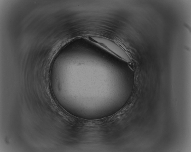 X0000092310241200710051243