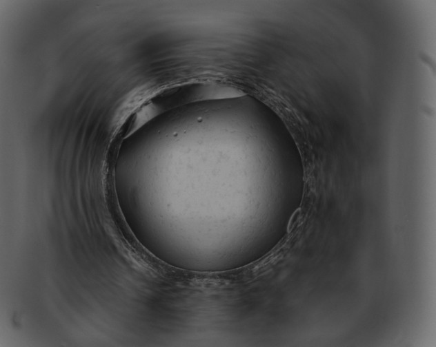 X0000092310242200710051243
