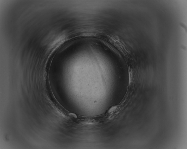 X0000092310243200710051243