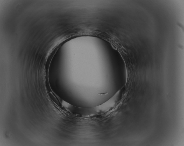 X0000092310244200710051243