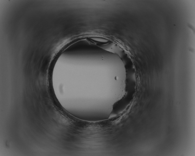 X0000092310248200710051243