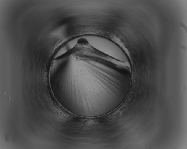X0000092310249200710051243