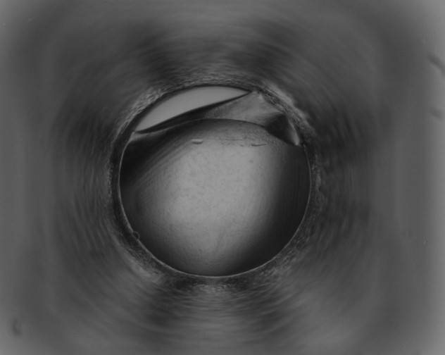 X0000092310250200710051243