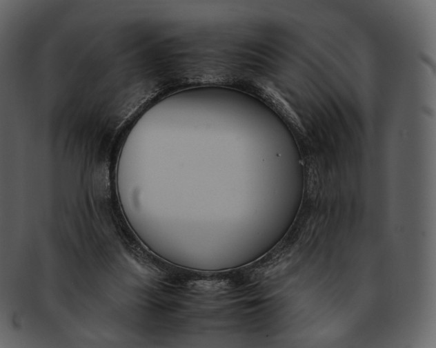 X0000092310251200710051243