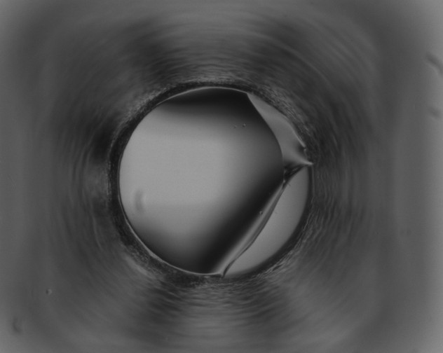 X0000092310252200710051243