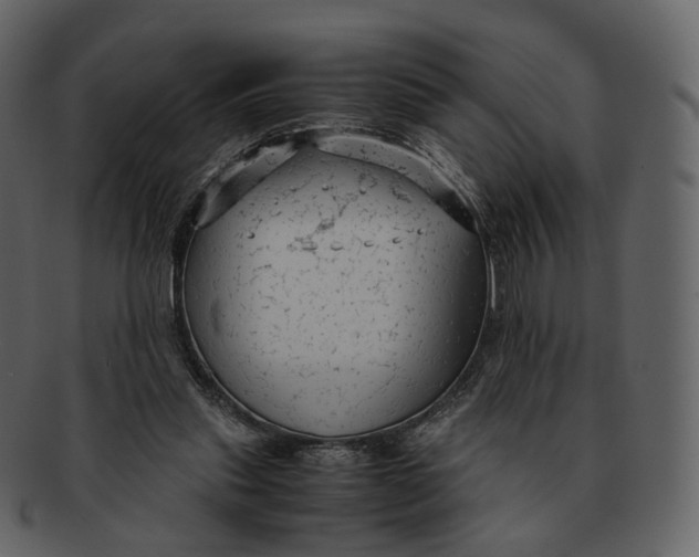 X0000092310253200710051243