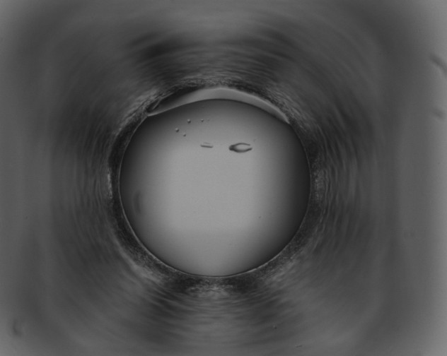 X0000092310254200710051243