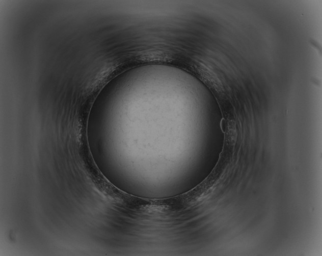 X0000092310255200710051243