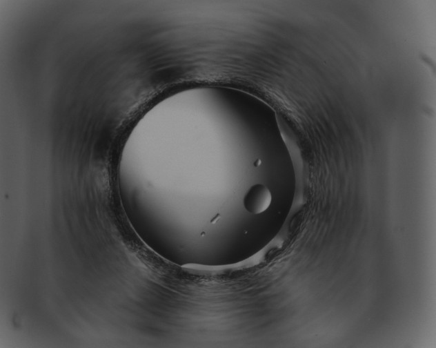 X0000092310256200710051244