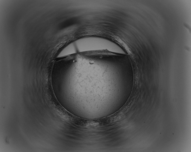 X0000092310257200710051244
