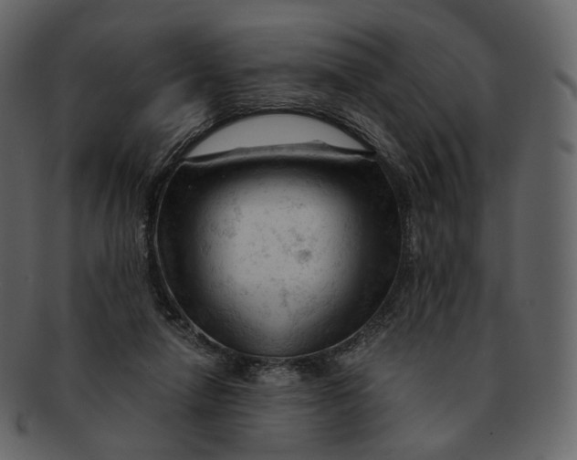 X0000092310258200710051244