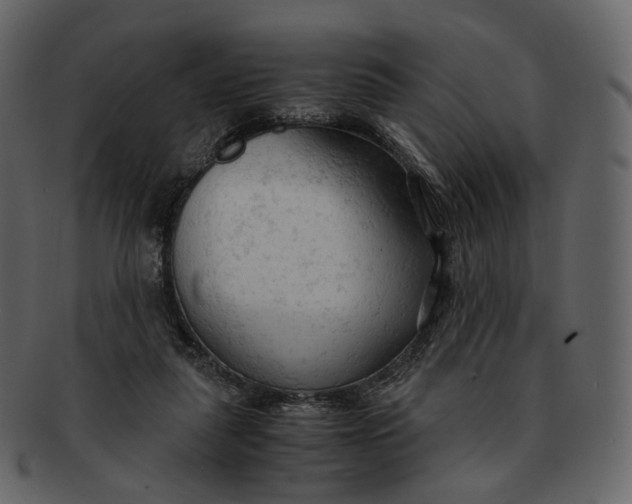 X0000092310259200710051244