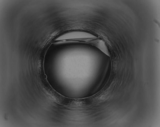 X0000092310260200710051244