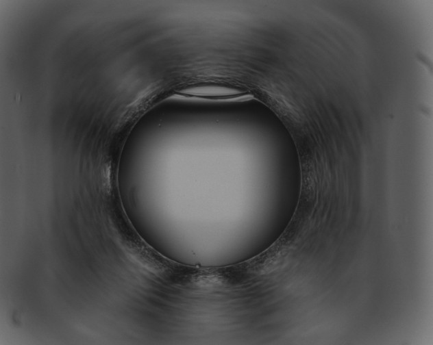 X0000092310262200710051244