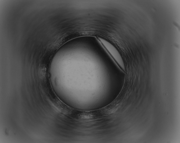 X0000092310263200710051244