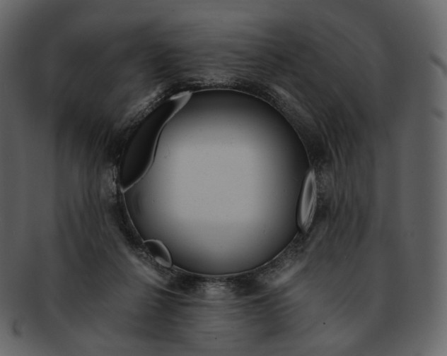 X0000092310264200710051244