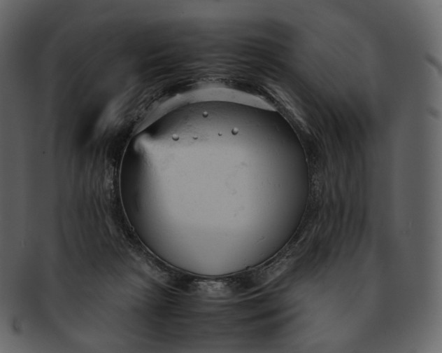 X0000092310265200710051244
