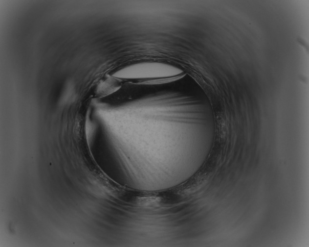 X0000092310266200710051244