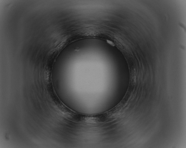 X0000092310268200710051244