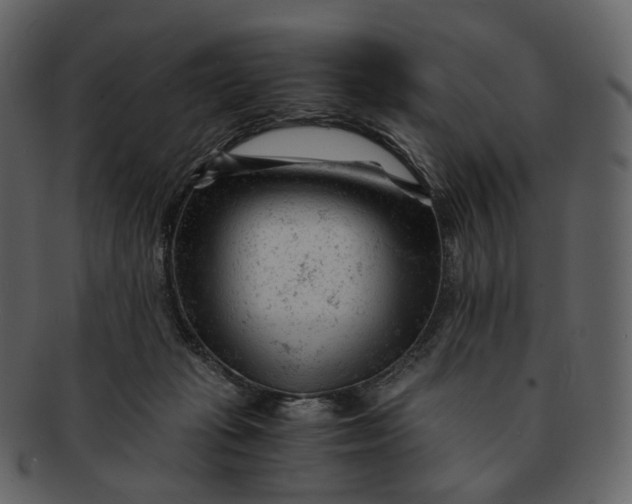 X0000092310269200710051244