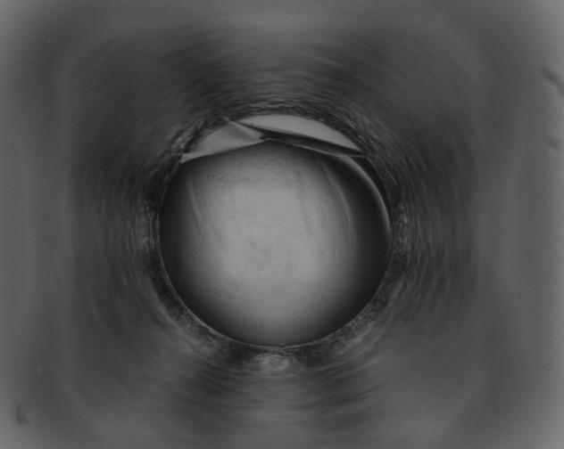 X0000092310272200710051244