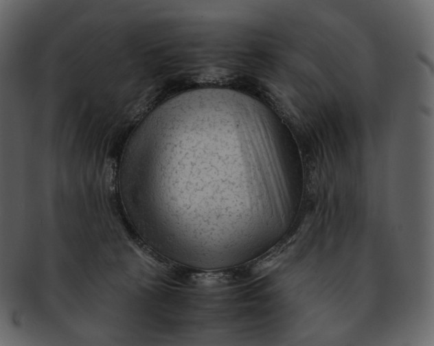 X0000092310273200710051244