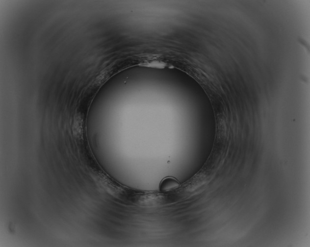 X0000092310274200710051244